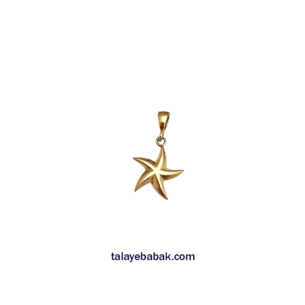 آویز ستاره دریایی 001