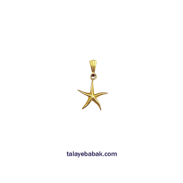 آویز ستاره دریایی 002